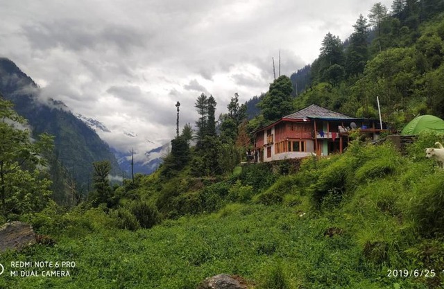 Hakuna matata - by Timon & pumba