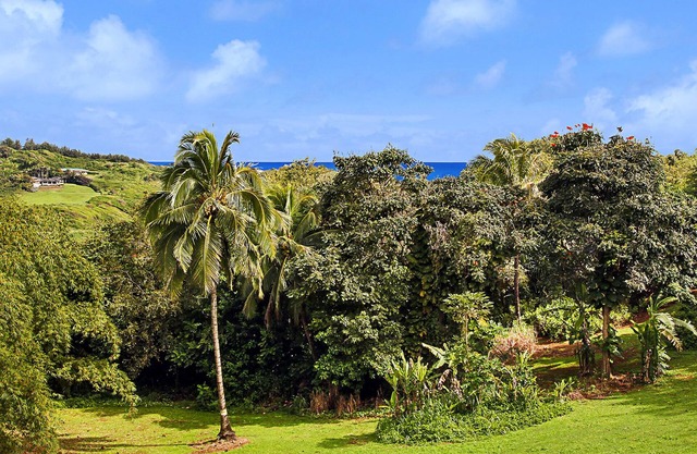 Hale Kai Kalani - vista al mar en Kilauea - AC en la sala de estar y dormitorio principal