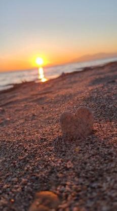 Halkidiki Stay
