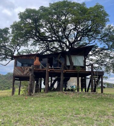 Hangar 5 La Casita del Arbol