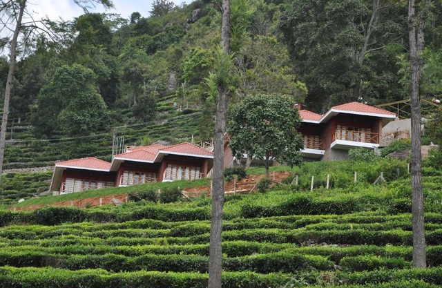 Hanging Huts Resorts