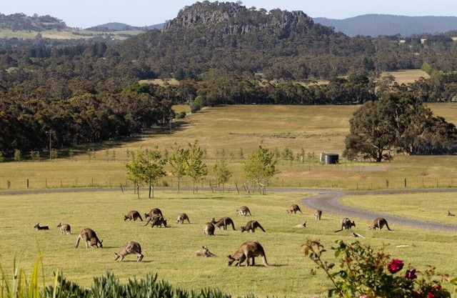 Hanging Rock Views, King Suite in luxury B&B