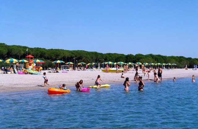 Happy Camp mobile homes in Camping Thurium Villaggio