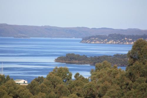 Harbour Lookout