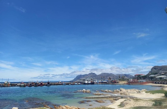 Harbour Views