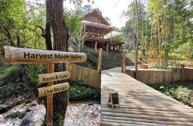 Harvest Moon Valley