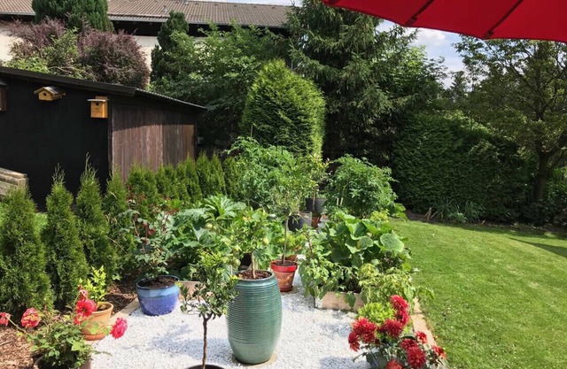 Harz and Home - Holiday apartment with WLAN.