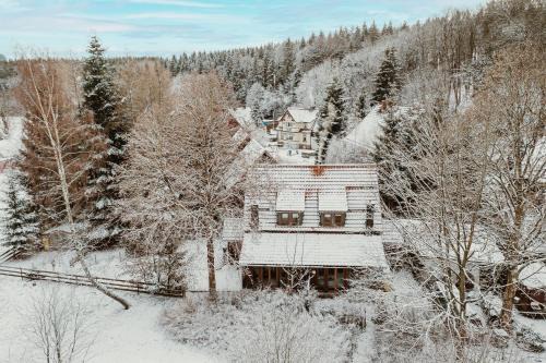 Harzchalet 2B