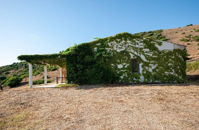 Tenuta Asinara Home Vineyard
