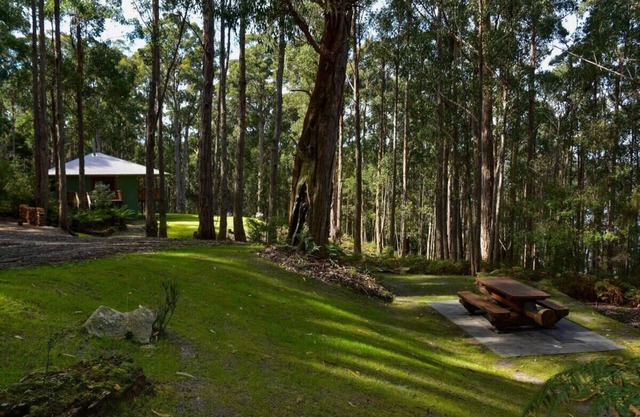 Hastings Bay Retreat – Idyllic Forest Hideaway!