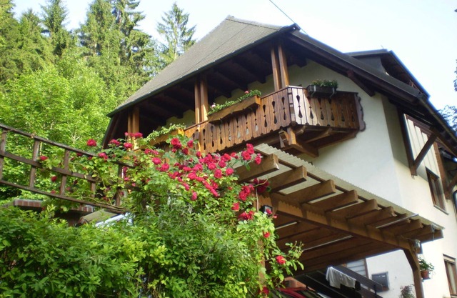 Haus am Bach - Apartamento de 30 metros cuadrados, 1 sala de estar / dormitorio, máx. 3 personas