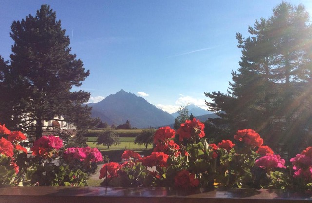 Haus Angelika - bed & breakfast - Innsbruck/Igls
