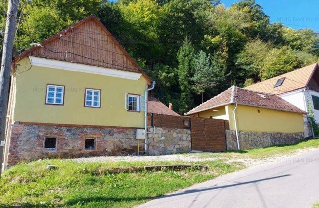 Haus Ingrid Cisnadioara