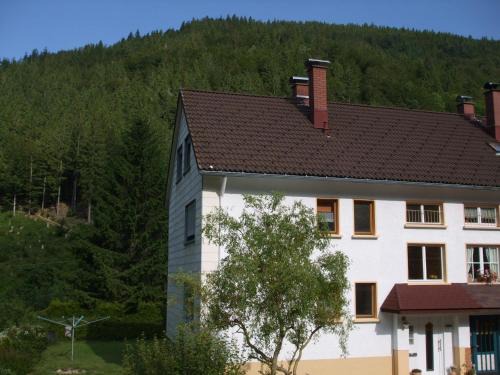 Haus Post OG-Wohnung