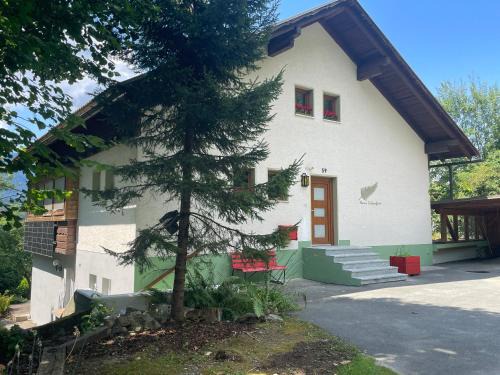 Haus Silverfern