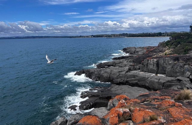 Have a Tasmanian adventure—beautiful scenery/plenty of room options
