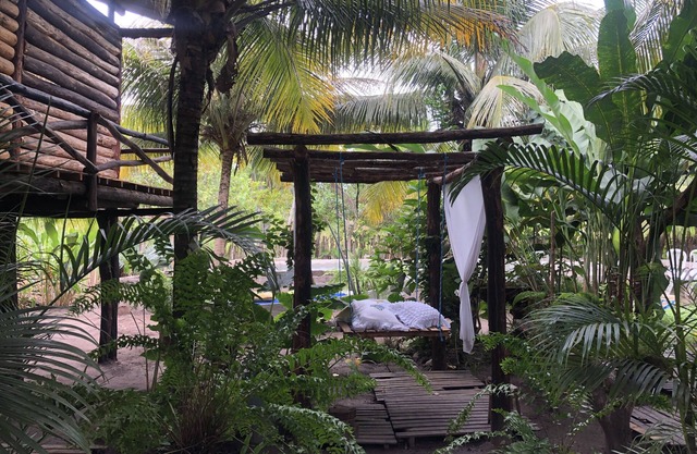 Have you thought about staying at a Casa da Arvore in Chapada Diamantina?