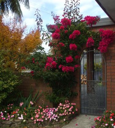 Havenlee Homestay