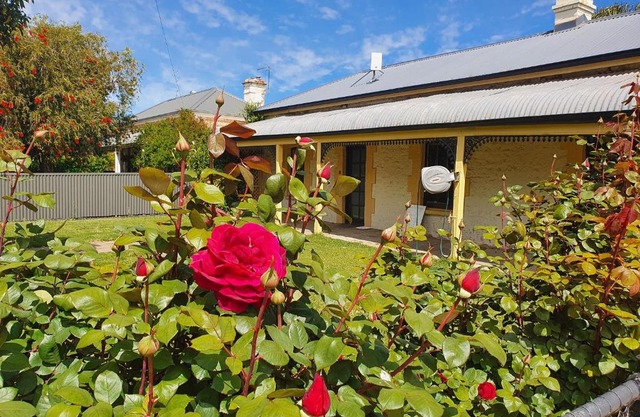 Hayleys House - BnB Riverton