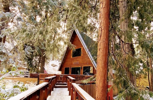 HB Hideaway ~ Boho Treehouse Vibes in the Pines