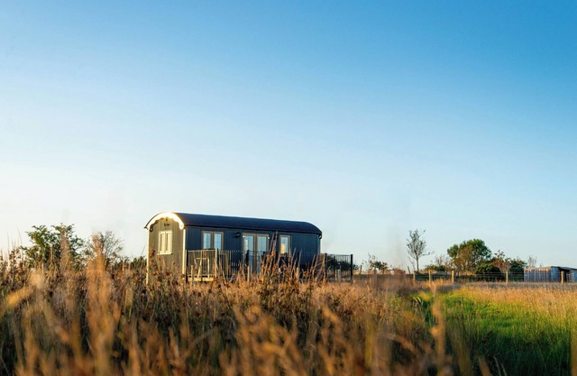 HEAD FOR THE HILLS GLAMPING - SKYLARK SHEPHERD'S HUT in Llandeilo