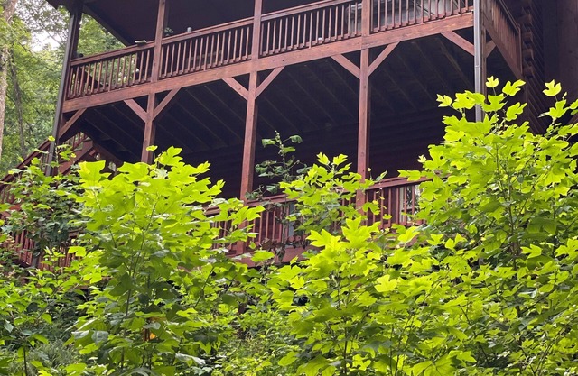 Alpenhaus Cabins Real Log Home en las montañas Helen Ga