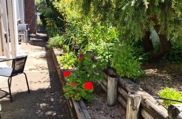 Henry's Quirindi