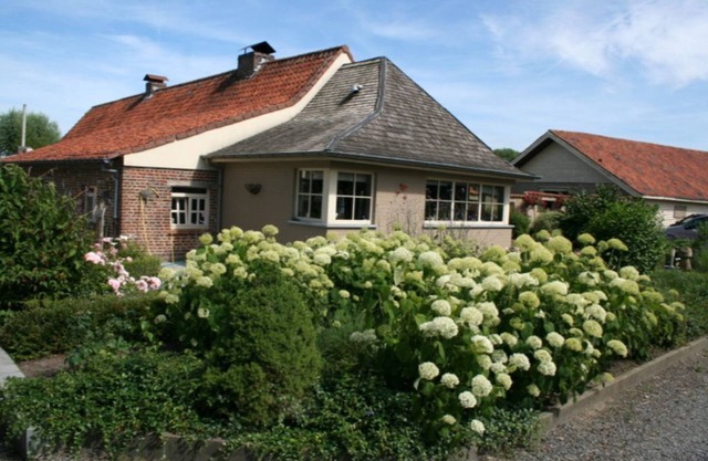La casa de roble