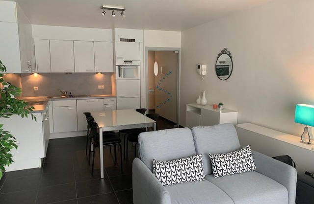 Het perfecte familieappartement voor jong en oud!
