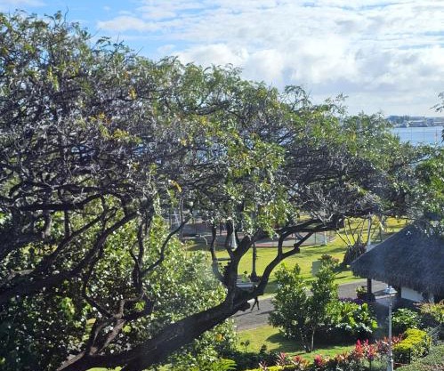 Hiatea Lodge