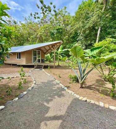 Hibiscus House Nuquí