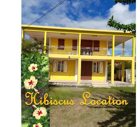 Hibiscus Location