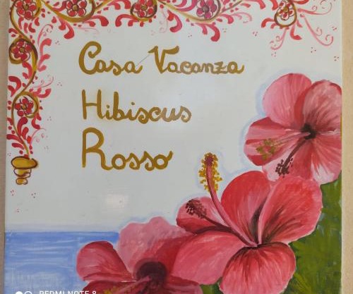 Hibiscus Rosso