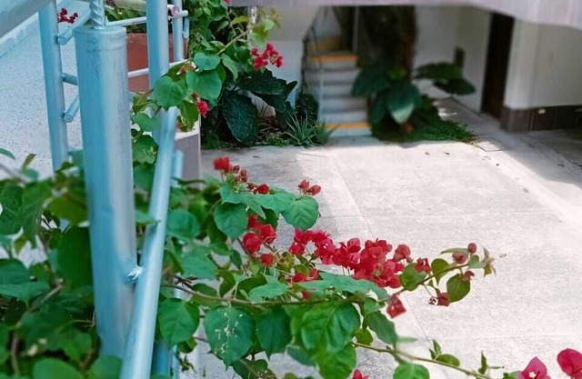 HIDALGO HOTEL
