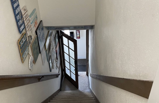 Hidden Treasure in Belmont Heights