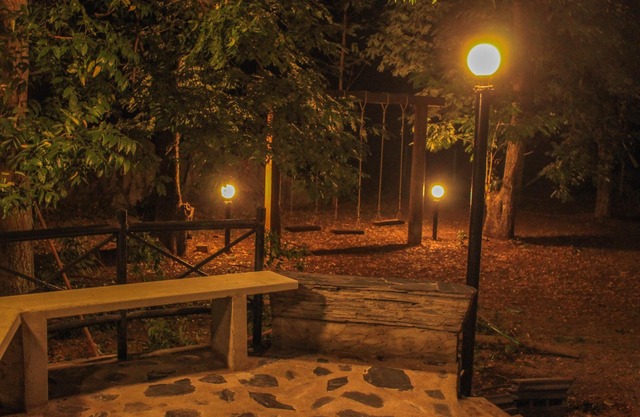 Casa del árbol escondido en KhaoYai!