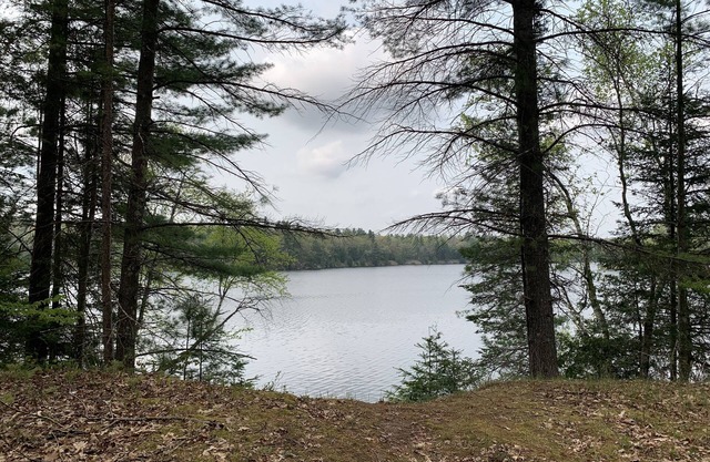Hide out cozy Cabin Rental near Cooke Dam pond in Oscoda & budget friendly