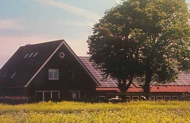 Higgen Adamla, Deutschland