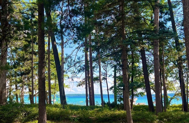 Higgins Lake Waterfront. Clean! Updated! Private Dock, Sandy Beach, boat mooring