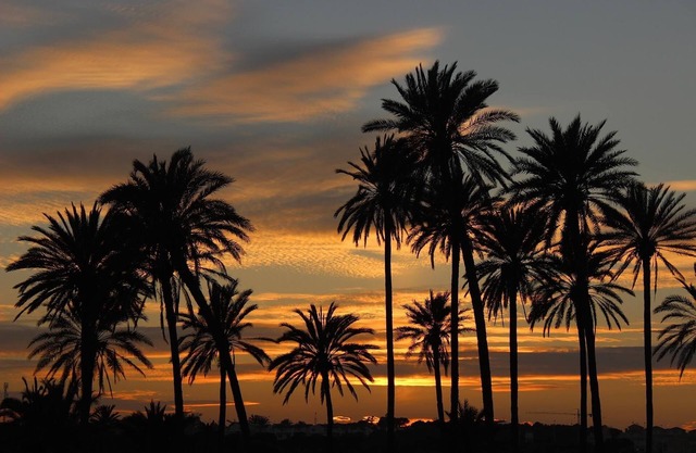High quality & sun-kissed - great view over the sea, harbor & salt lakes, WiFi B1