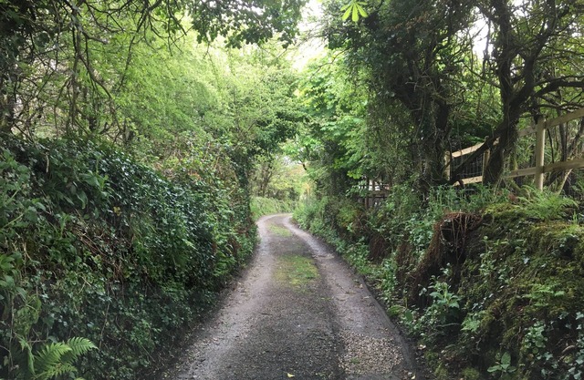 Higher Trenear Farm