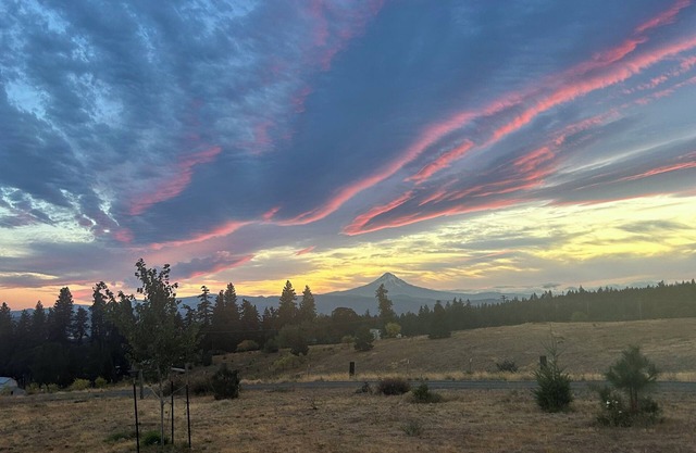Highlands House - 5 acres with Mt. Hood Views. Dog Friendly!