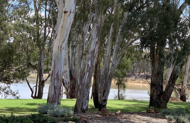 A orillas del Murray, Highview Waters Resort es una propiedad de primer nivel.