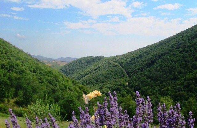 Senderismo y disfrutar de la naturaleza en Le Marche, Italia en Cottage 'La Terra'