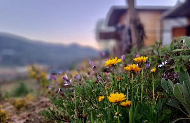 HILL VIEW