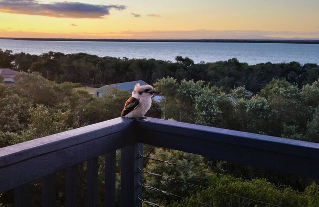 Hilltop Haven Loch Sport - Vista de 180 grados del lago Victoria