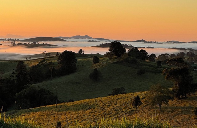 Hilltop haven spectacular views on the edge of pure rainforest Malanda.