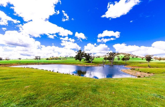 Hillview Farmstay