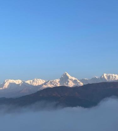 Himalaya Serene View Guest House & Farm Stay