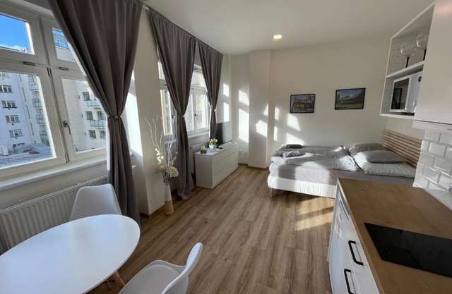 Historic Center Brno Apartment